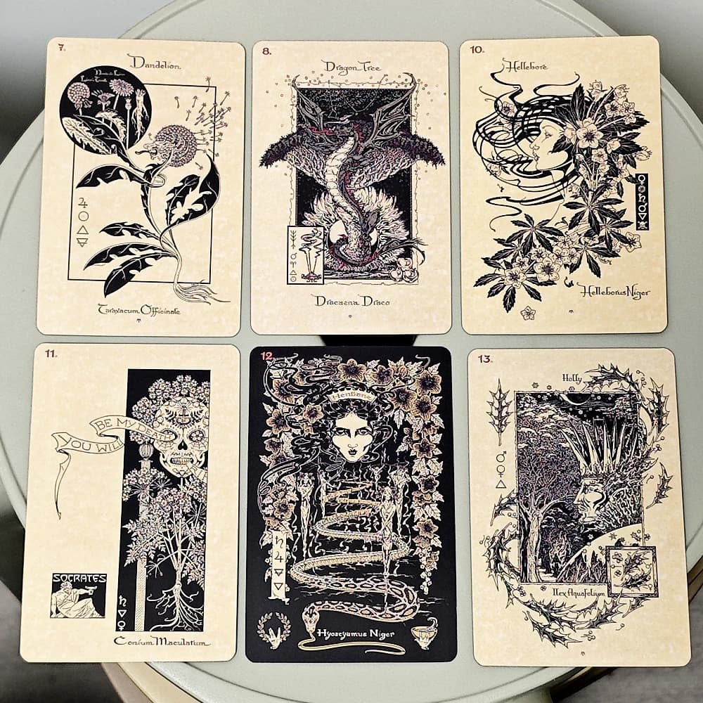 33 pezzi di oracolo botanico magico 10 * 6,5 cm piante delle carte da giardino della strega