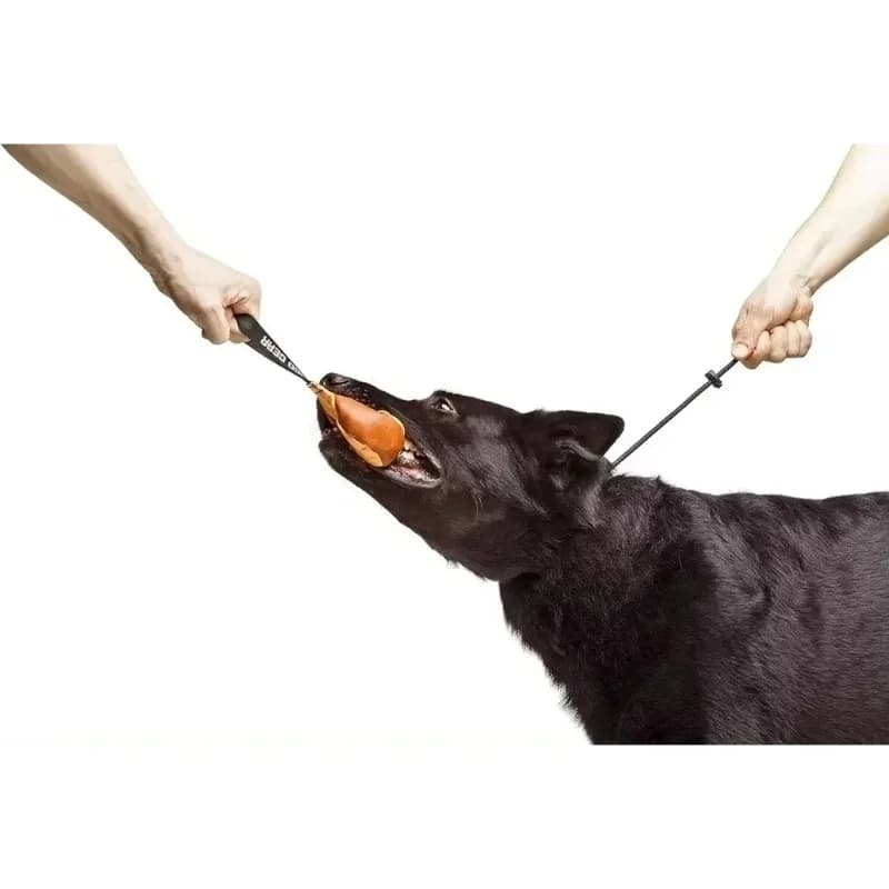 Accessories Traction Rope Gear Choke Collar for Dog Training Handmade of Cord with Limiter Waterproof Dog Training Rope