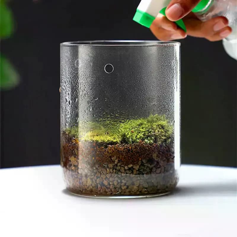 Bottiglia in Vetro Creativa per Micro Paesaggi, Terrario Autogestito per Muschio, Vaso per Piante Succulente, Decorazione Casa e Regalo