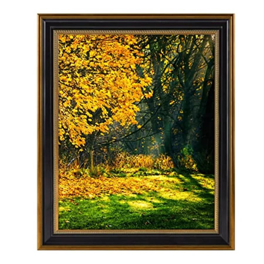 Cornice per poster/foto/stampa 16 x 20, in vero vetro infrangibile, design nero e oro ornamentale, per esposizione a parete, confezione da 1.
