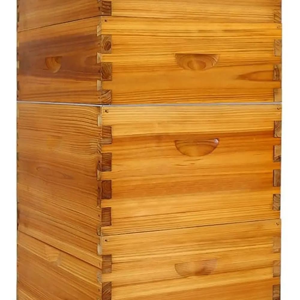 Langstroth Alveare Kit: 10 frames covered in wax, 2 boxes for deep caves, 2 medium supports with foundation