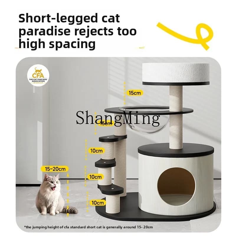 Lettiera per Gatti in Legno CL per Piccoli Appartamenti, Non Occupa Tanto Spazio, Tappetino Tiragraffi Universale per Tutte le Stagioni