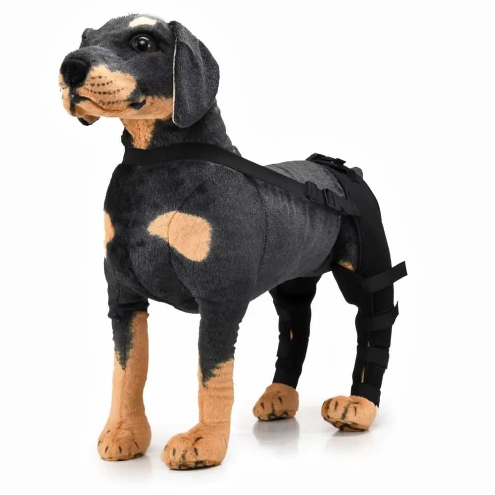 Supporto Regolabile per Ginocchio di Cane, Comodo Supporto per Zampa Posteriore, Ginocchiera Traspirante in Tessuto per Cani