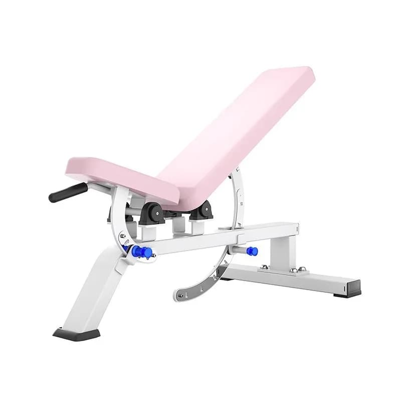 New Arriva women's adjustable handlebar bench with comfort cushion The best choice for women fitness enthusiasts