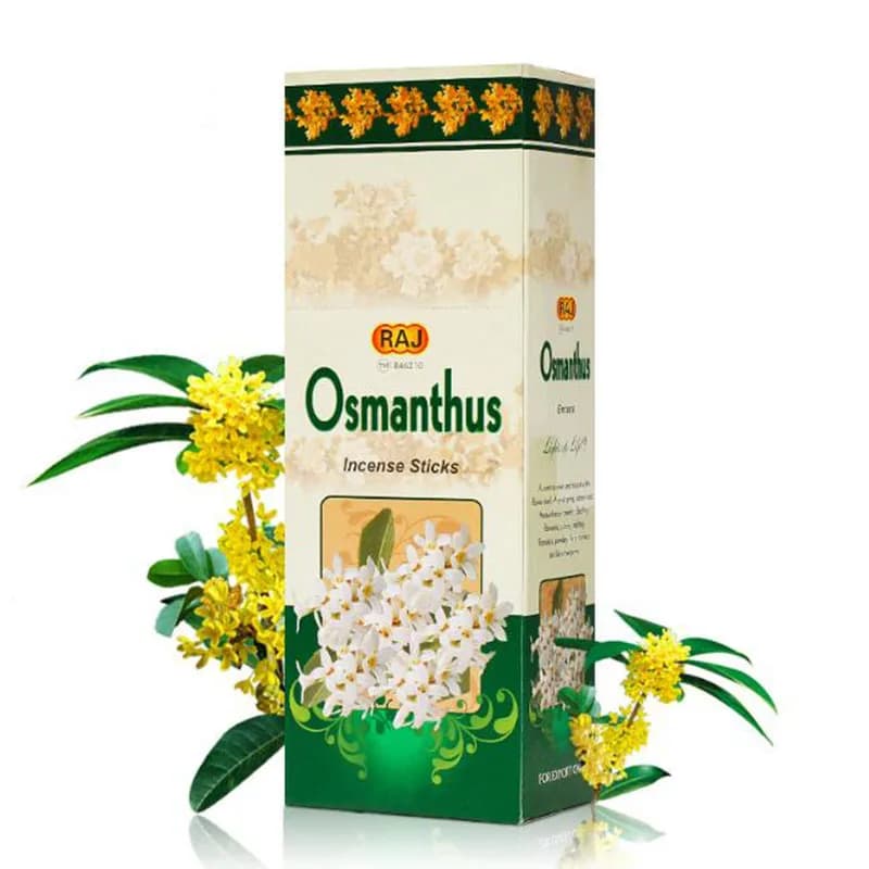 Incenso importato dall'India, sapore di osmanto, incenso in stick, fragranza vegetale naturale, incenso aromatico per la meditazione interna, fornitura di odori