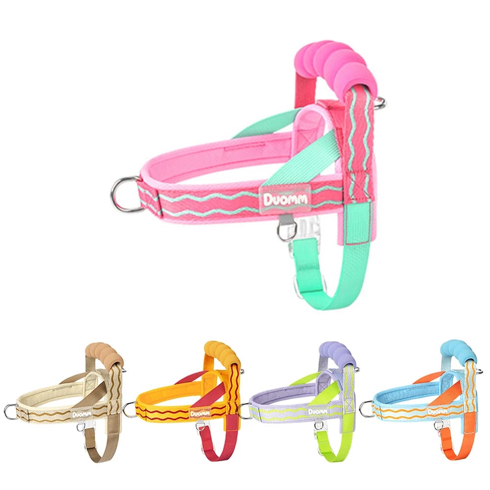 Colorful Saddle Dog Harness and Leash Set, Cute Lightweight Puppy Vest Harness for Small Dogs, Adjustable Walking Pet Gear