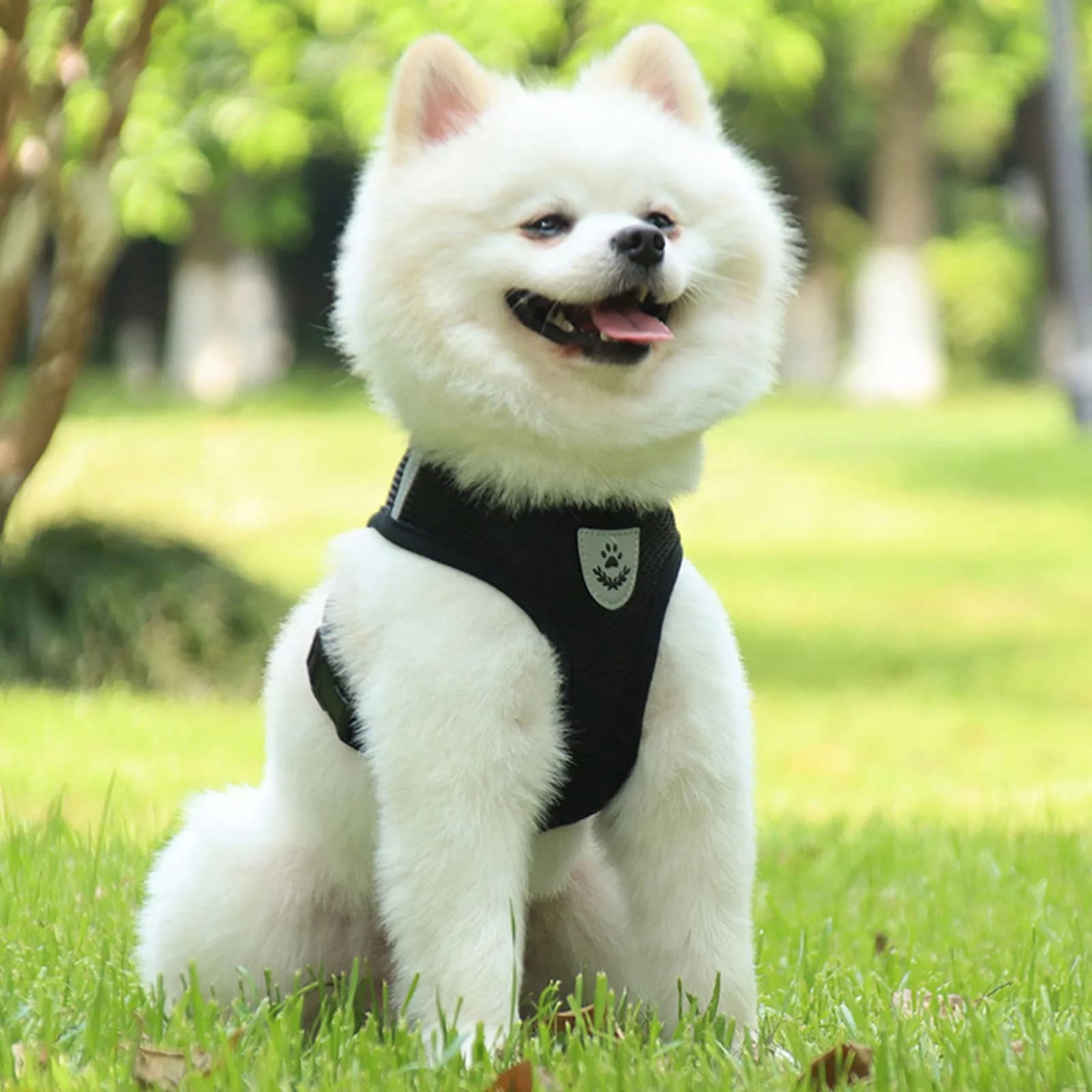 1PC Pettorina per gatti Guinzaglio da passeggio per cuccioli Collare per cani in poliestere Maglia regolabile per cani