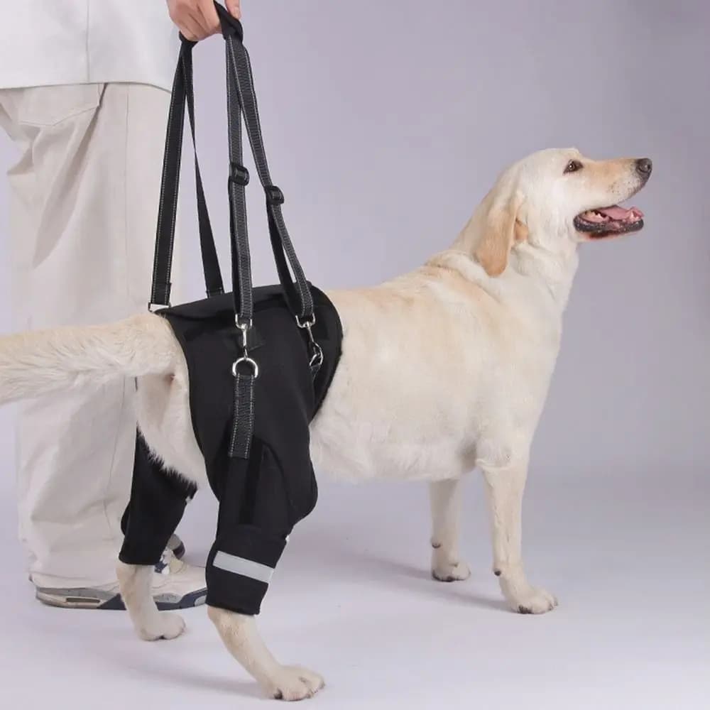 Supporto per gambe e fianchi Imbracatura per sollevamento cani Maniglia robusta nera Strumento di assistenza per animali domestici Supporto per gamba posteriore per cani regolabile imbottito morbido