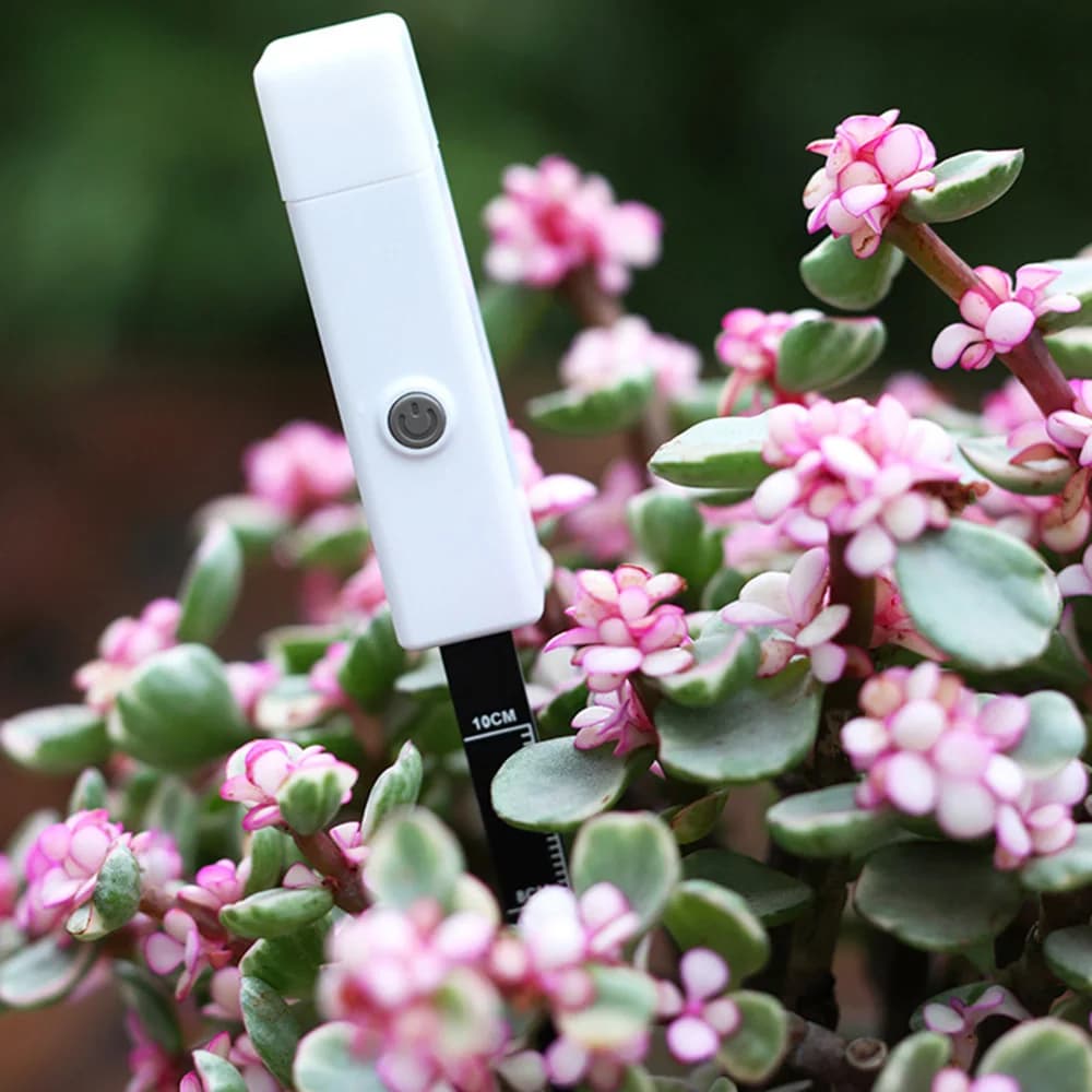 New Sound Tester Humidity Meter 3 Colors Luminous Sensor Intelligent Probe Water Meter for Plant Sensor Garden Meter