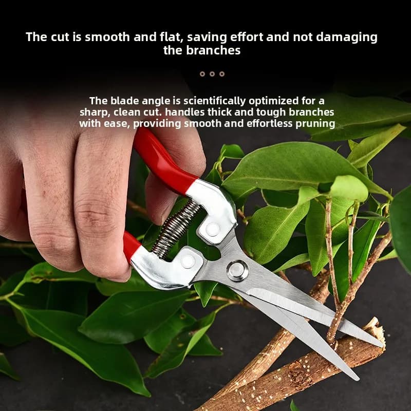 Stainless steel pruning shears, fruit picking shears for orchard, fruit trees for orchard, scissors for grafting of flower branches