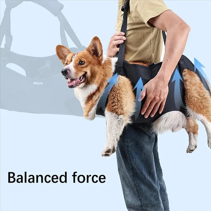 Imbracatura per il trasporto del cane Imbracatura di supporto per animali domestici Riabilitazione del cucciolo Gilet di sollevamento Cinghia regolabile Maniglia addensata per lesioni-AT30