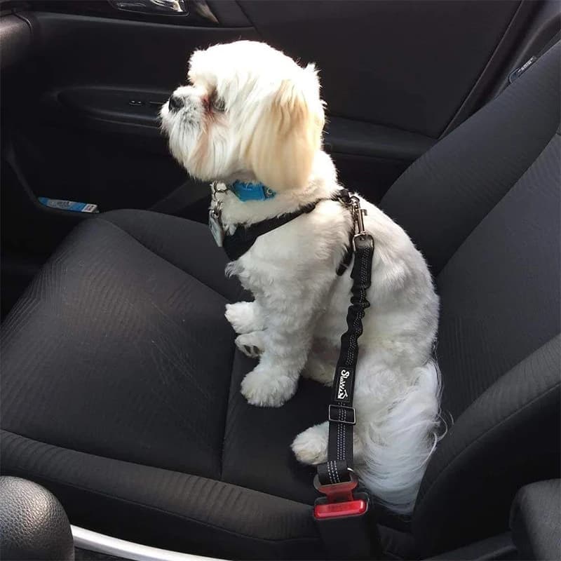 Guinzaglio di Sicurezza per Cani Regolabile e Retrattile con Cuscinetto Elastico, Cintura di Sicurezza per Auto, Corda di Sicurezza, Corda da Tiro