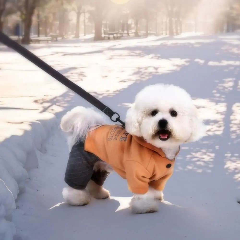 Abbigliamento per cani a quattro zampe, alla moda, imbottito, morbido e confortevole, con cappuccio, caldo, tuta per animali domestici.