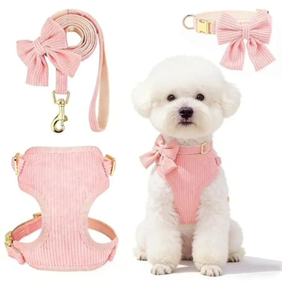 Cute Small Dog Harness Collar and Leash Set with Detachable Bowtie, Adjustable Dog Harness Collar and Leash Set with Secure Met