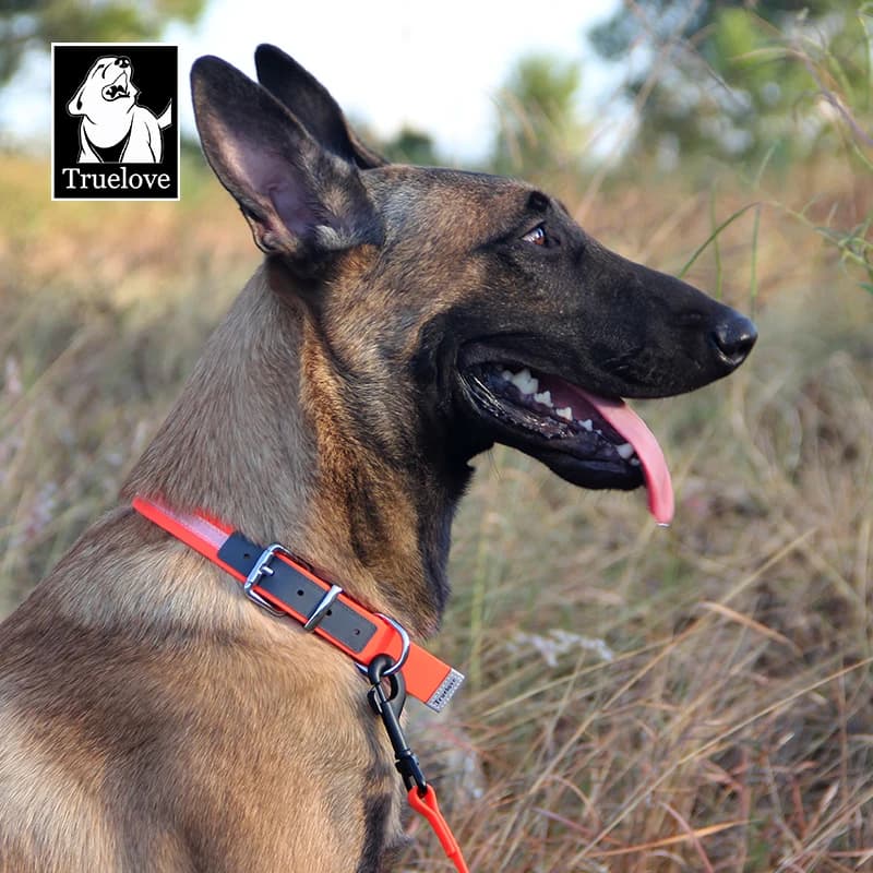 Truelove Collare per cani da compagnia regolabile per animali domestici Cucciolo durevole Collari in PVC multicolore Guinzaglio Accessori per animali domestici impermeabili Collare TLC5521