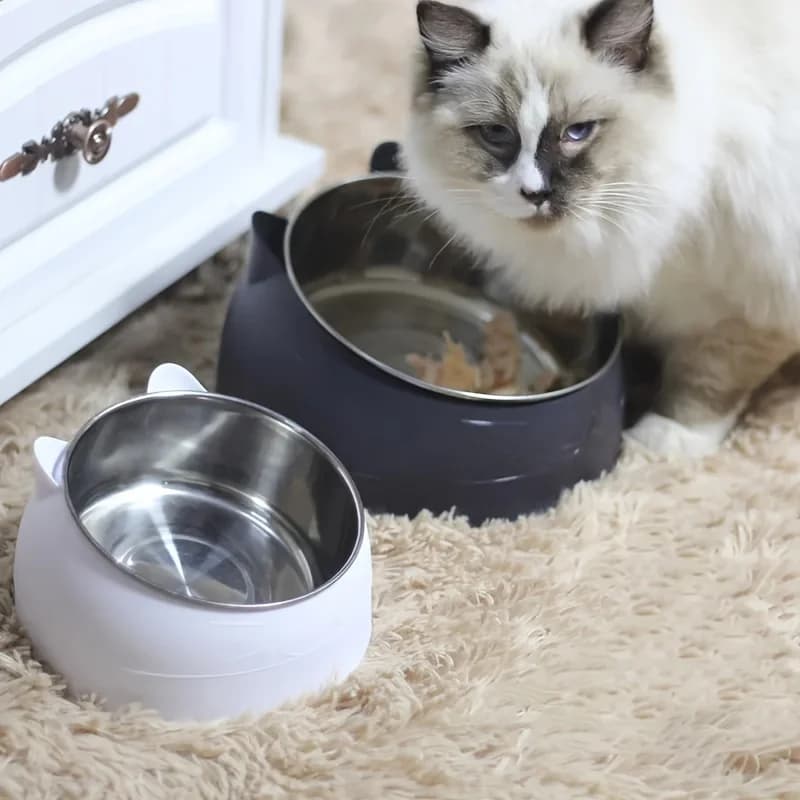 Ciotola Rialzata Anti-Rovesciamento per Animali Domestici, Protezione Ergonomica del Collo, Ciotola Inclinata in Acciaio Inossidabile per Cani e Gatti, Mangiatoia Rialzata per Animali di Taglia Grande e Piccola