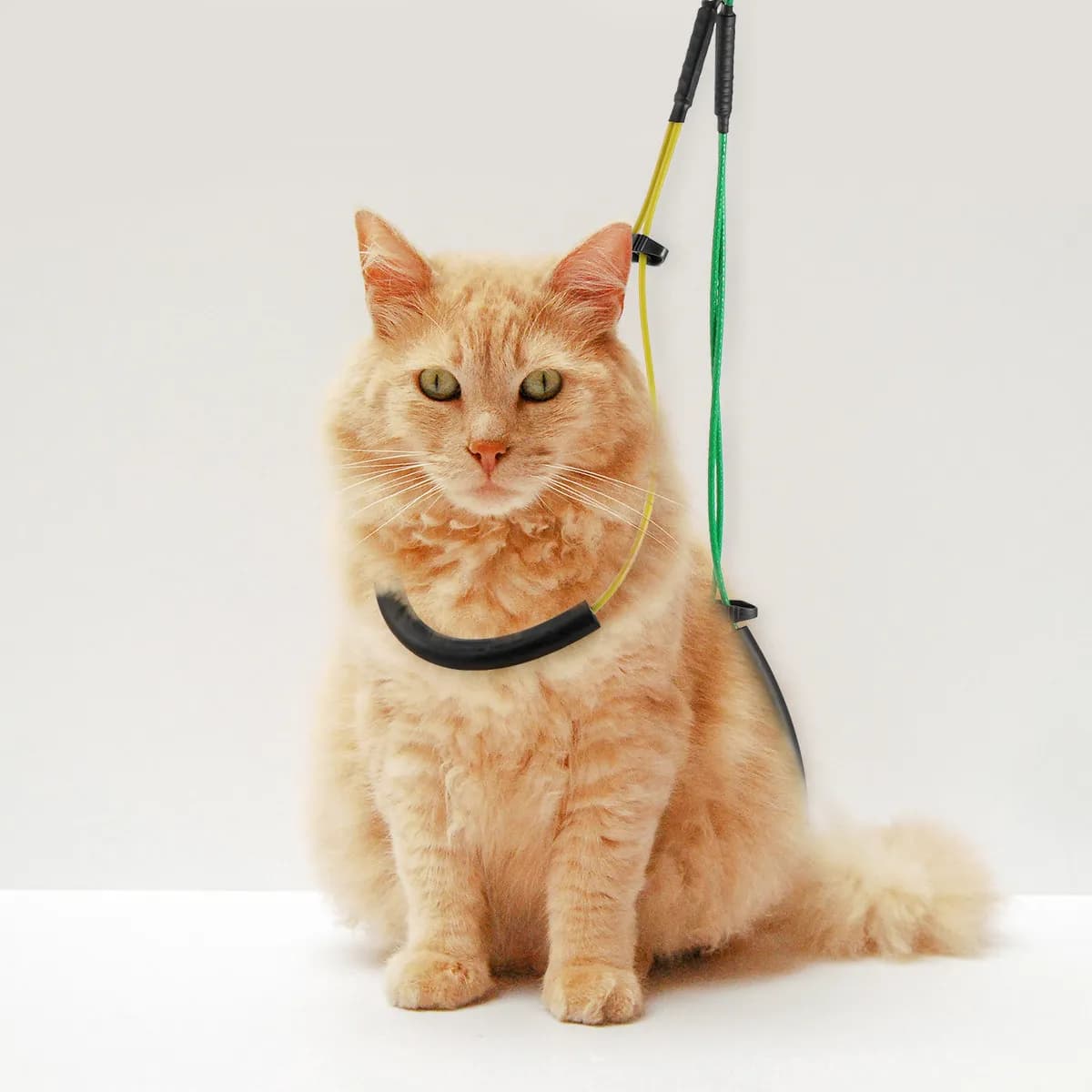 Leash Dog Grooming Lead Holder Helper Extender Adjustable Harnesses Extension Strap