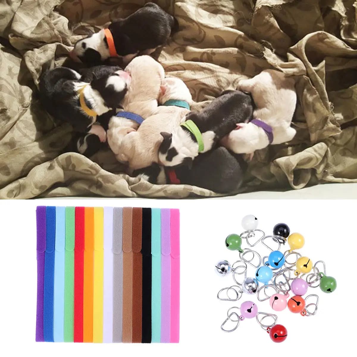 15Pcs 15 Colors Premium Adjustable Dog Collar with Metal Bell for Puppy Safety Tracking Identification Comfort Fit Wear