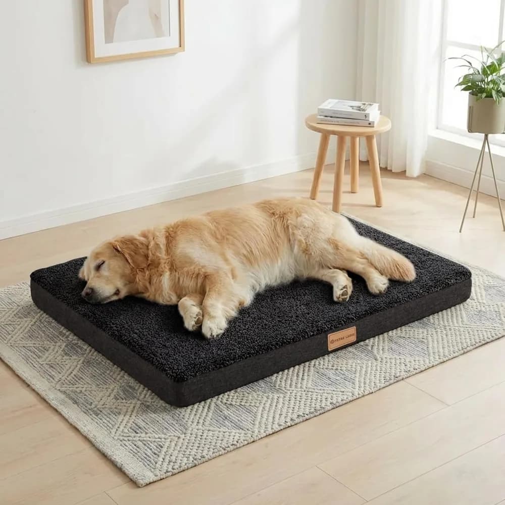 Letto per cani ortopedico XL 48x30 pollici, schiuma impermeabile per cassa per uova con rivestimento lavabile rimovibile e fondo antiscivolo, nero