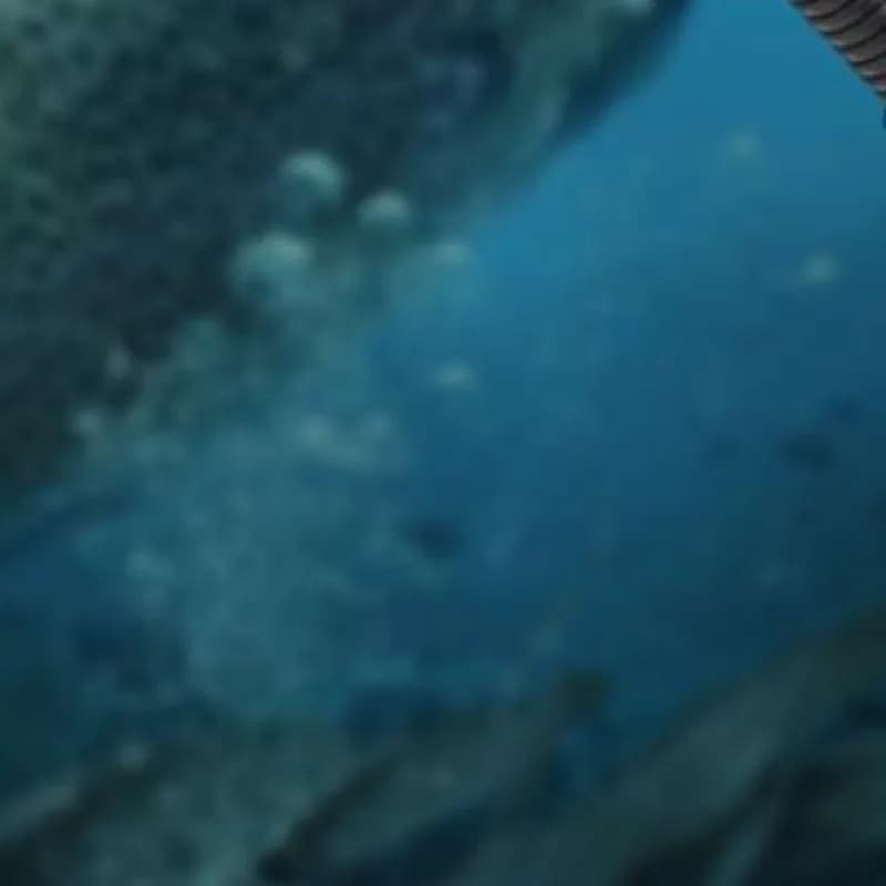 Canne da Pesca Mini Pieghevoli, Accessori per Pesca all'Aperto per Laghi (Blu)