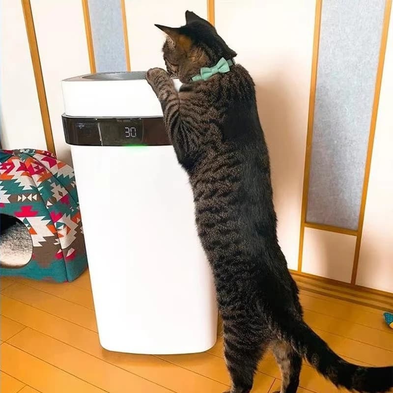 Purificatore d'aria elettrostatico intelligente facile da pulire per la polvere dei peli di cani e gatti