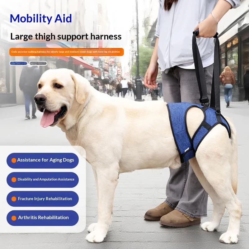 Imbracatura di supporto per cani a prova di fuga: design avvolgente in vita per un sollevamento sicuro, post-chirurgia e ausilio alla riabilitazione (certificata CE)
