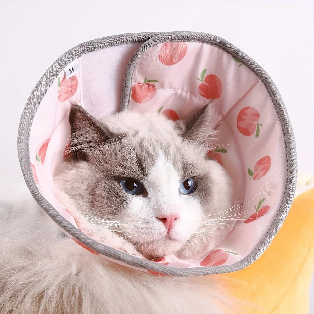 Collare Elisabettiano con stampa a fumetti, copertura protettiva per animali domestici, scudo protettivo per cani, anello anti-leccamento per gatti sterilizzati