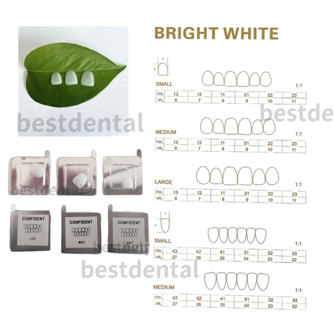 Front teeth veneer in dental resin Front veneer in white ceramic S/M/L Composite porcelain veneer