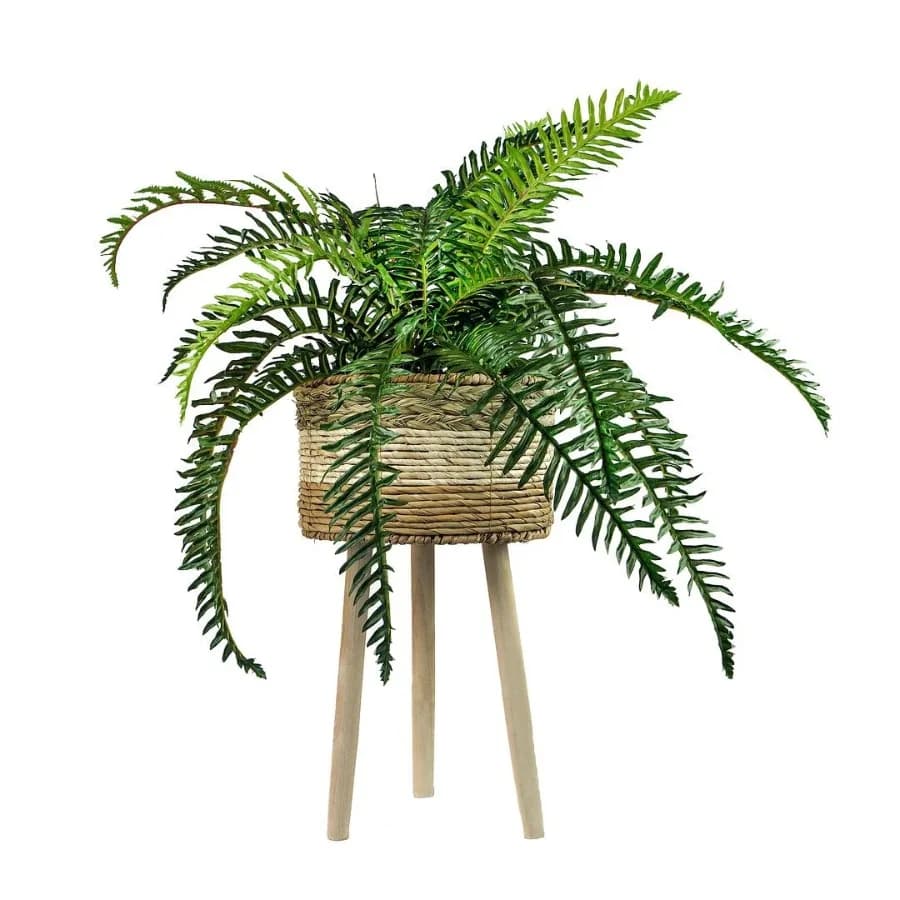 38" Artificial Trailing River Fern in Tri-Color Tripod Basket Stand