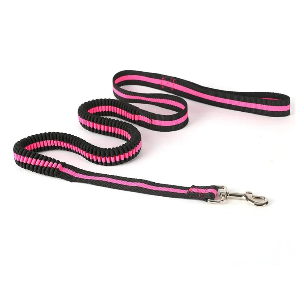 Drawing Wheel 120-150cm, Elastic and Resistant, for Race and Stroller, Free Hands, Nylon Comfortable for Active Animals