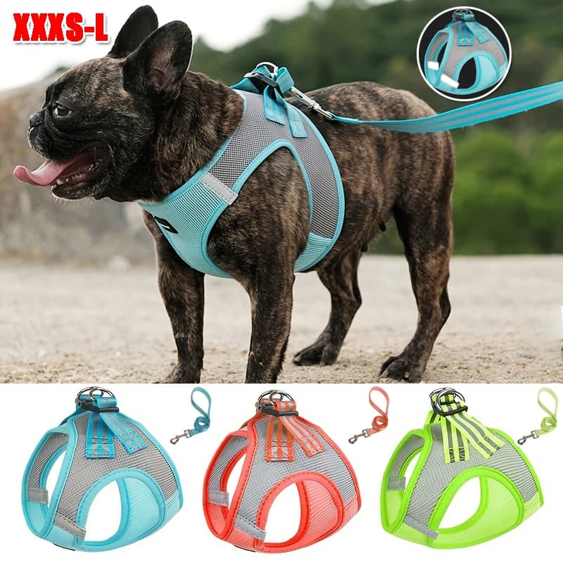 XXXS-L Pull Dog Harness gilet e guinzagli per cani regolabili per l'addestramento a piedi forniture per animali domestici guinzaglio da passeggio all'aperto