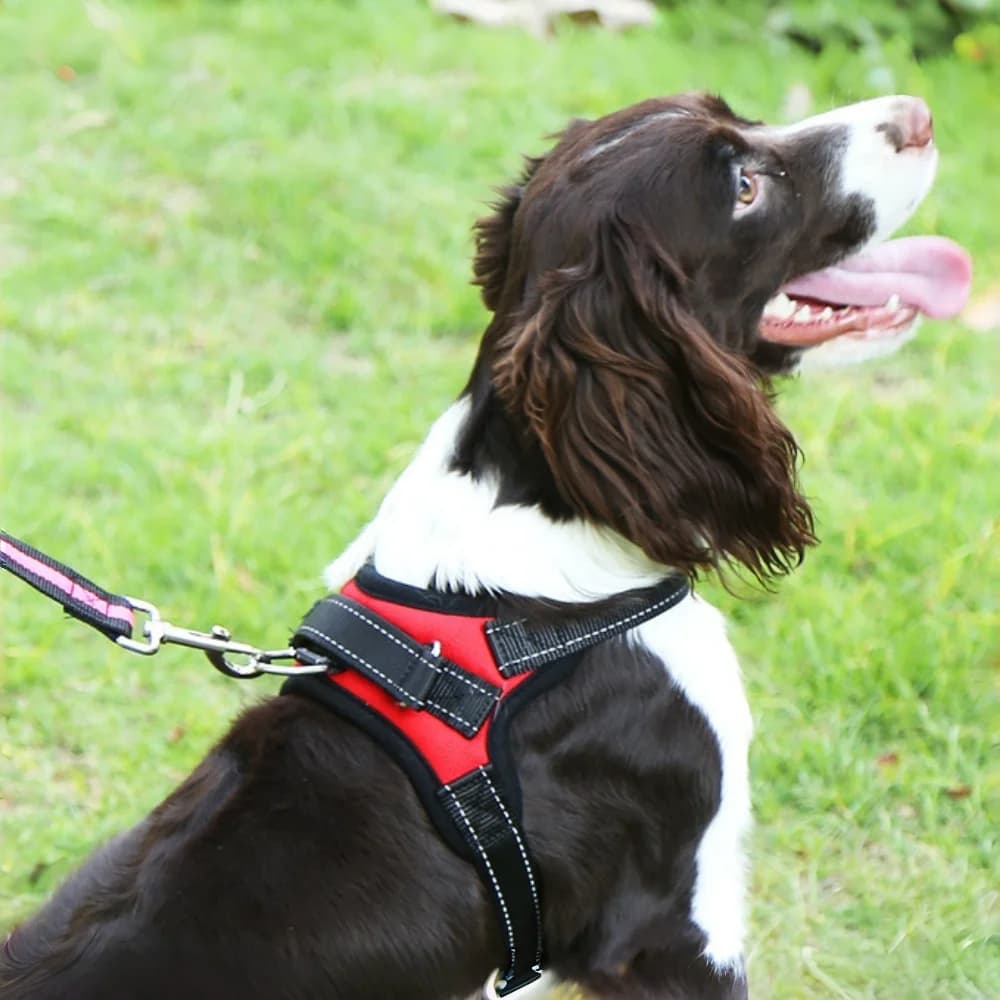 Pettorina per Cani Stile Gilet: Imbracatura Regolabile Imbottita per Razze Piccole/Medie - Attrezzatura Riflettente Anti-Trazione per Passeggiate