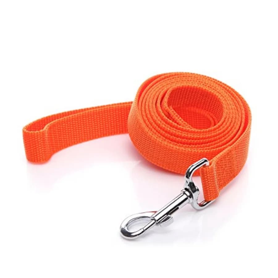 Nylon Dog Leash 4 Ft 5 Feet 6 Foot Long, Walking Training Dog Leashes for Medium Large Dogs, 1 Inch Wide 5/8" X 6 ft, Orange