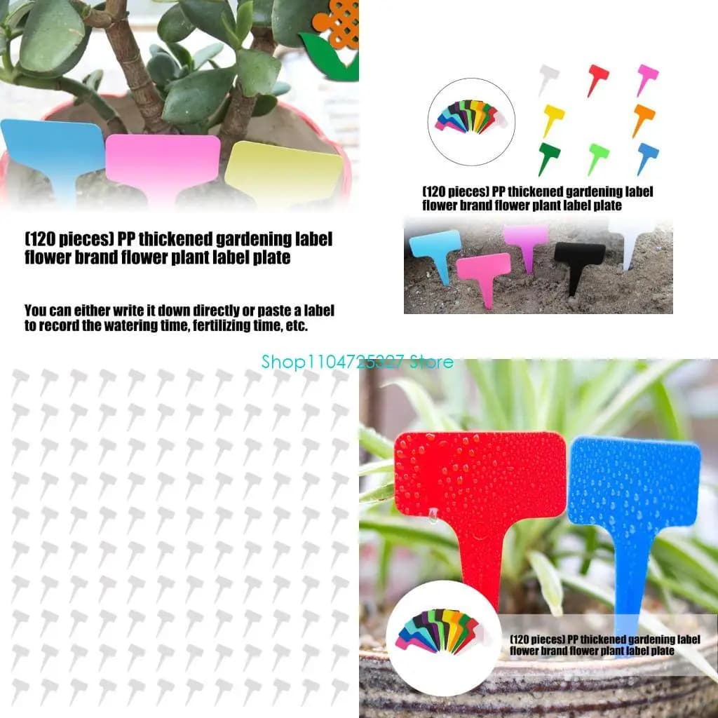 D8KF 120 pz. Identificazione delle Piante Carte da Giardino Etichette per Segni Piante per l'Organizzazione del Giardino e