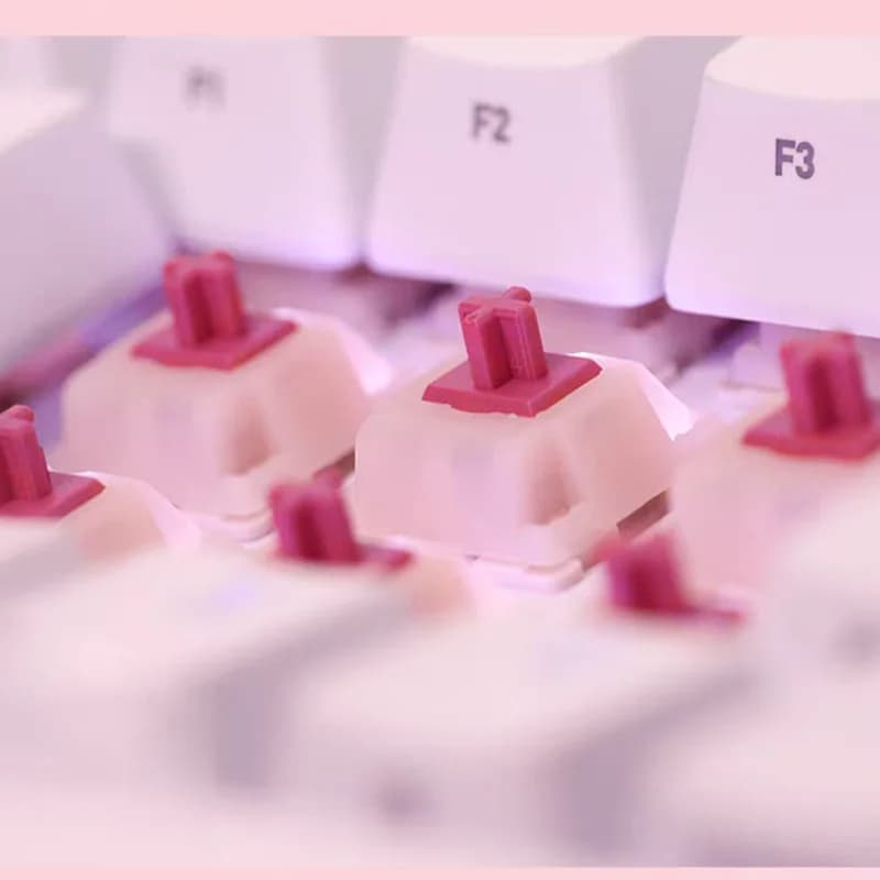 Interruttore Cherry MX Petal Switch MX2A originale a 5 pin, a pressione leggera, tattile, con lubrificazione fine, per tastiera meccanica, accessori per PC