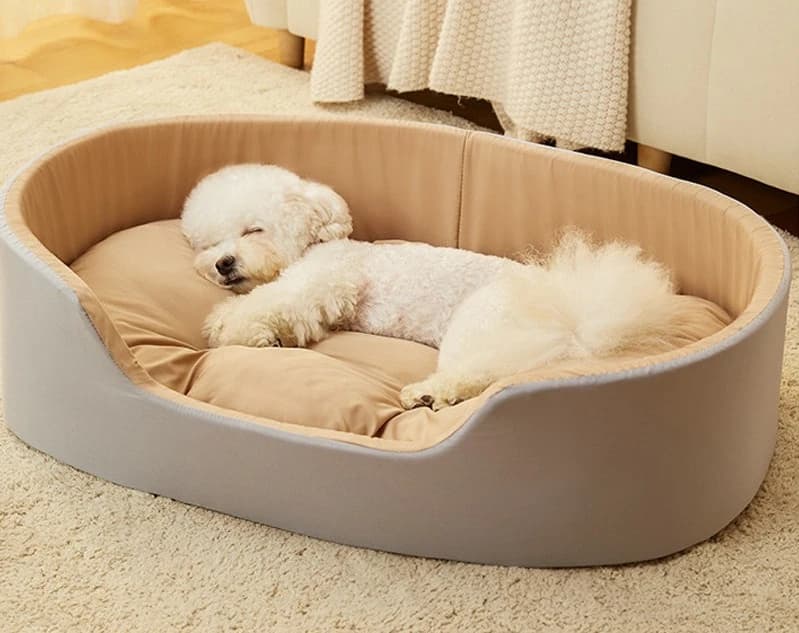Cuccia Universale Quattro Stagioni per Animali Domestici, Cuscino per Gatti Rimovibile e Lavabile, Letto per Cani e Gatti, Cuscino per Cani di Taglia Grande