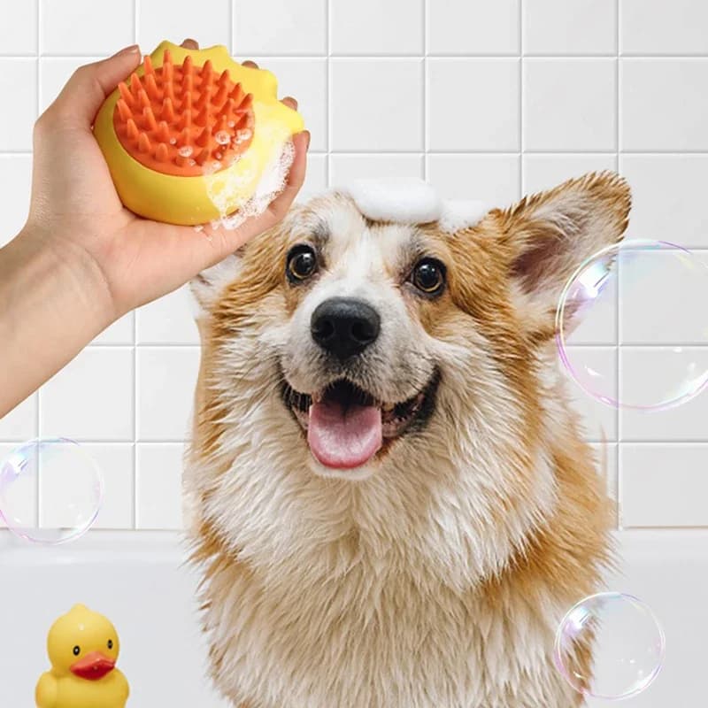 Spazzola per shampoo per animali domestici Spazzola per shampoo per animali domestici a forma di zampa di gatto Spazzola per toelettatura Spazzola per cani carini Rimozione dei peli sciolti Capelli opachi