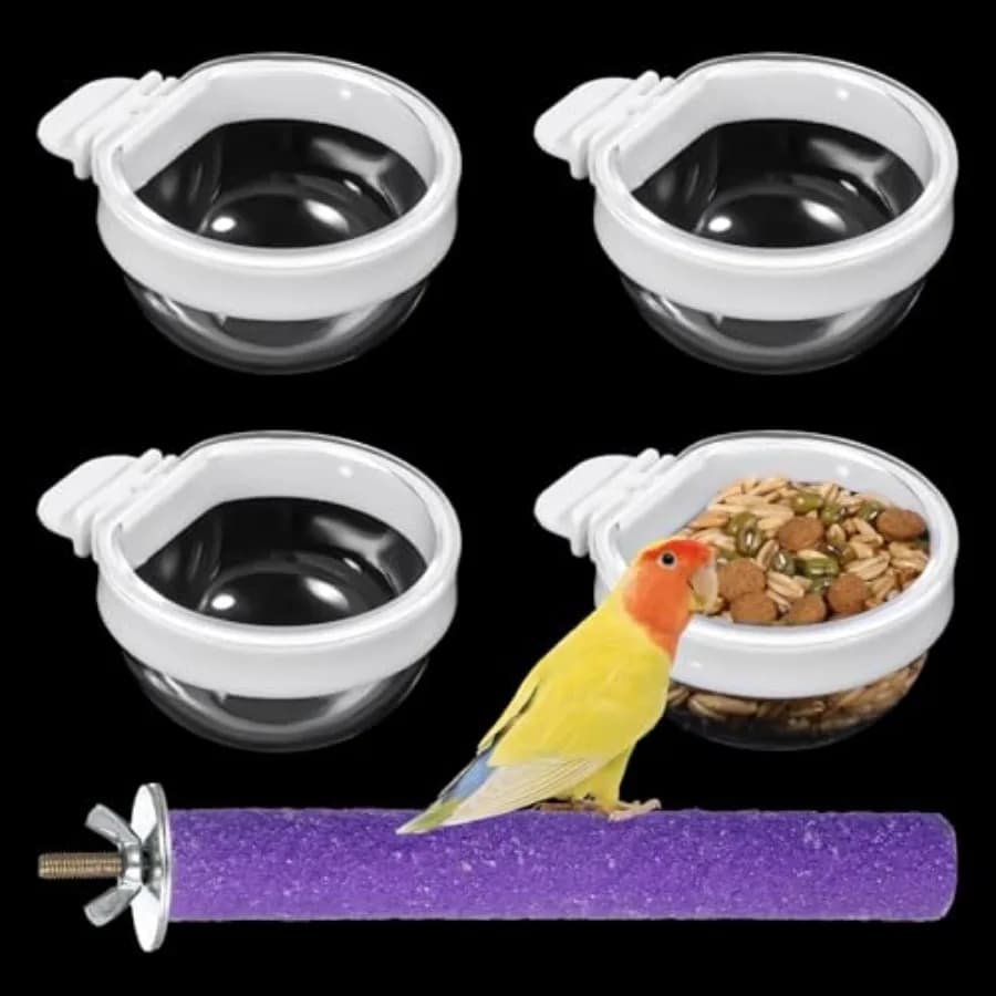 Set di 4 Mangiatoie e Abbeveratoi per Gabbie di Uccelli con Posatoio, Ciotola Trasparente per Acqua e Contenitore per Cibo