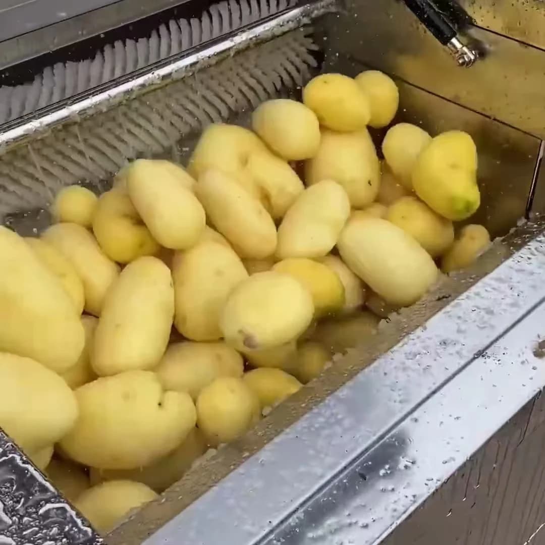 Prezzo basso di fabbrica CE 1500 kg / h Spazzola industriale Rullo Zenzero Manioca Pelapatate Pulizia cipolla Rondella Pelapatate