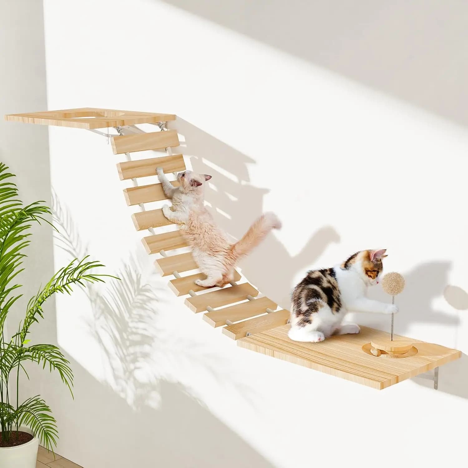 Amaca da parete per gatti con palla giocattolo su pista e 3 palline sospese, scala per gatti in legno per arrampicata, perca, facile installazione, larghezza 10' x