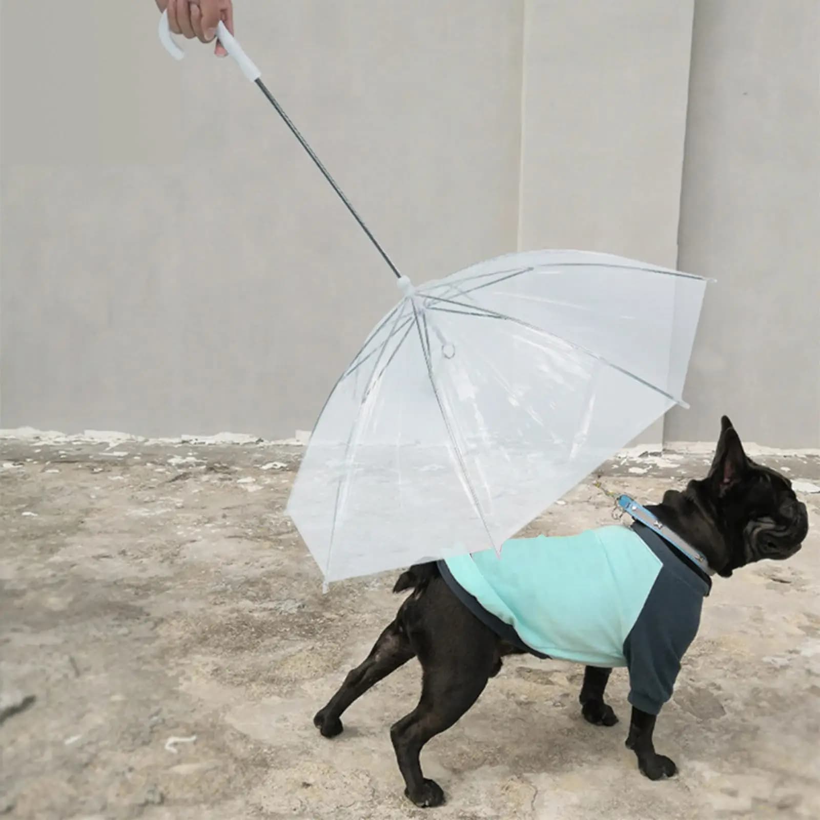 Pet Umbrella Leash Rainproof Snowproof Dog Umbrella with Leash for Small Dogs Adjustable Doggy Umbrella