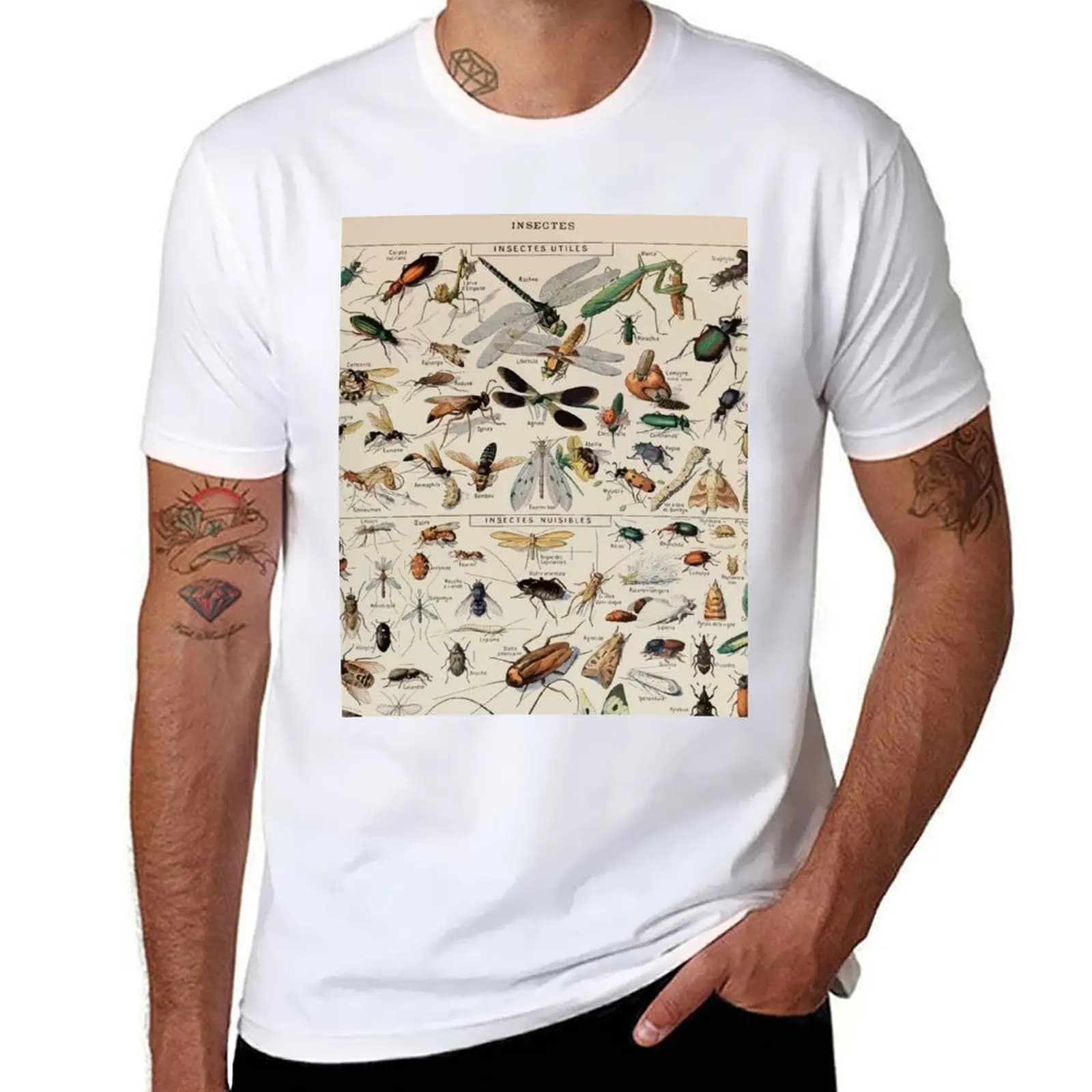 T-shirt Insectes Adolphe Millot T-shirt sportiva leggera e basic