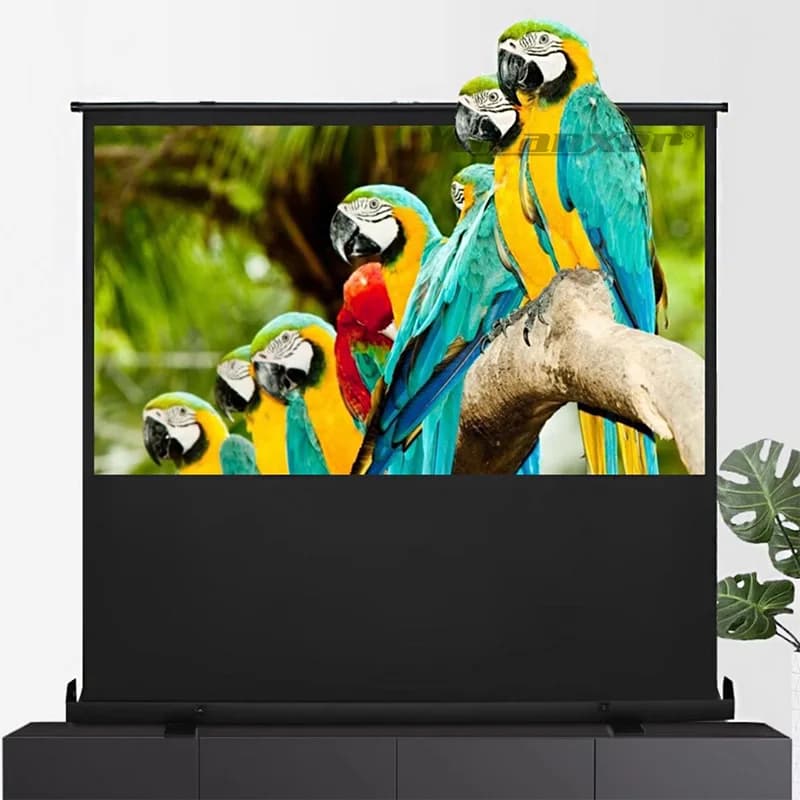 2025 Nuovo proiettore da pavimento portatile 16:9 Schermo in fibra di vetro bianco Schermo di proiezione esterna da 60-100 pollici Home Theater