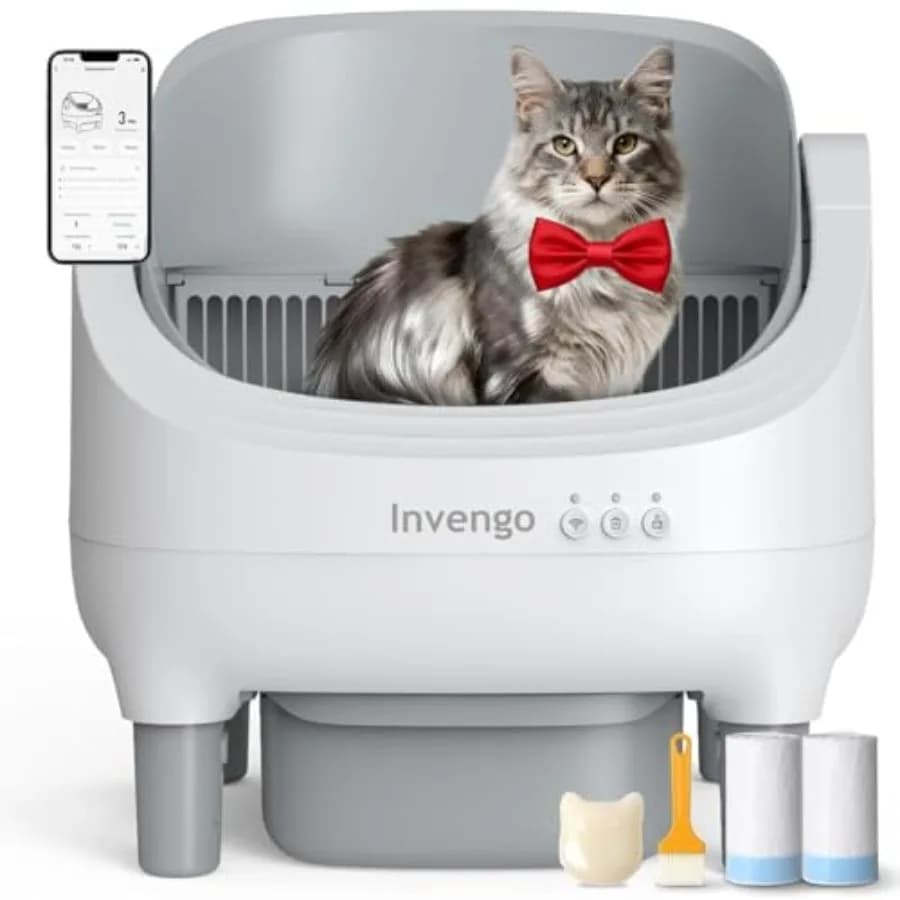 Automatic Cat Litter Box Self Cleaning, App Control, Open-Top Automatic Litter Box with Safety Sensors, Ultra-Quiet, 10.5L Wast