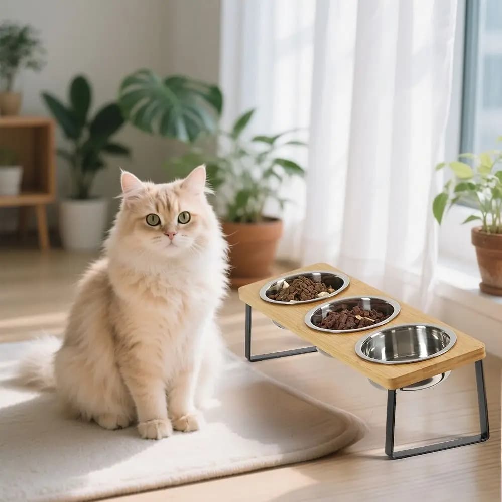 Ciotola per Gatti in Legno Antiscivolo con Supporto, Anti-Vomito e Anti-Fuoriuscita, Ciotole Rialzate per Animali Domestici con 3 Ciotole, per Cibo e Acqua, per Casa