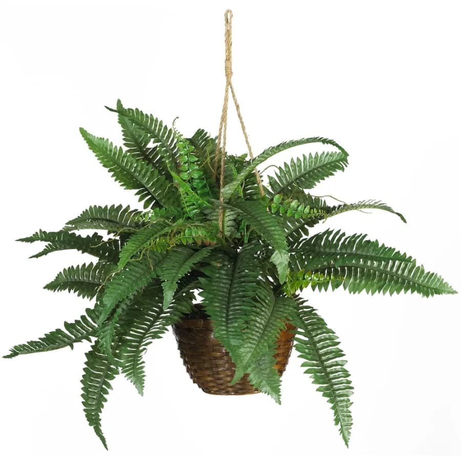 18" Boston Fern Artificial Plant in Hanging Basket Green