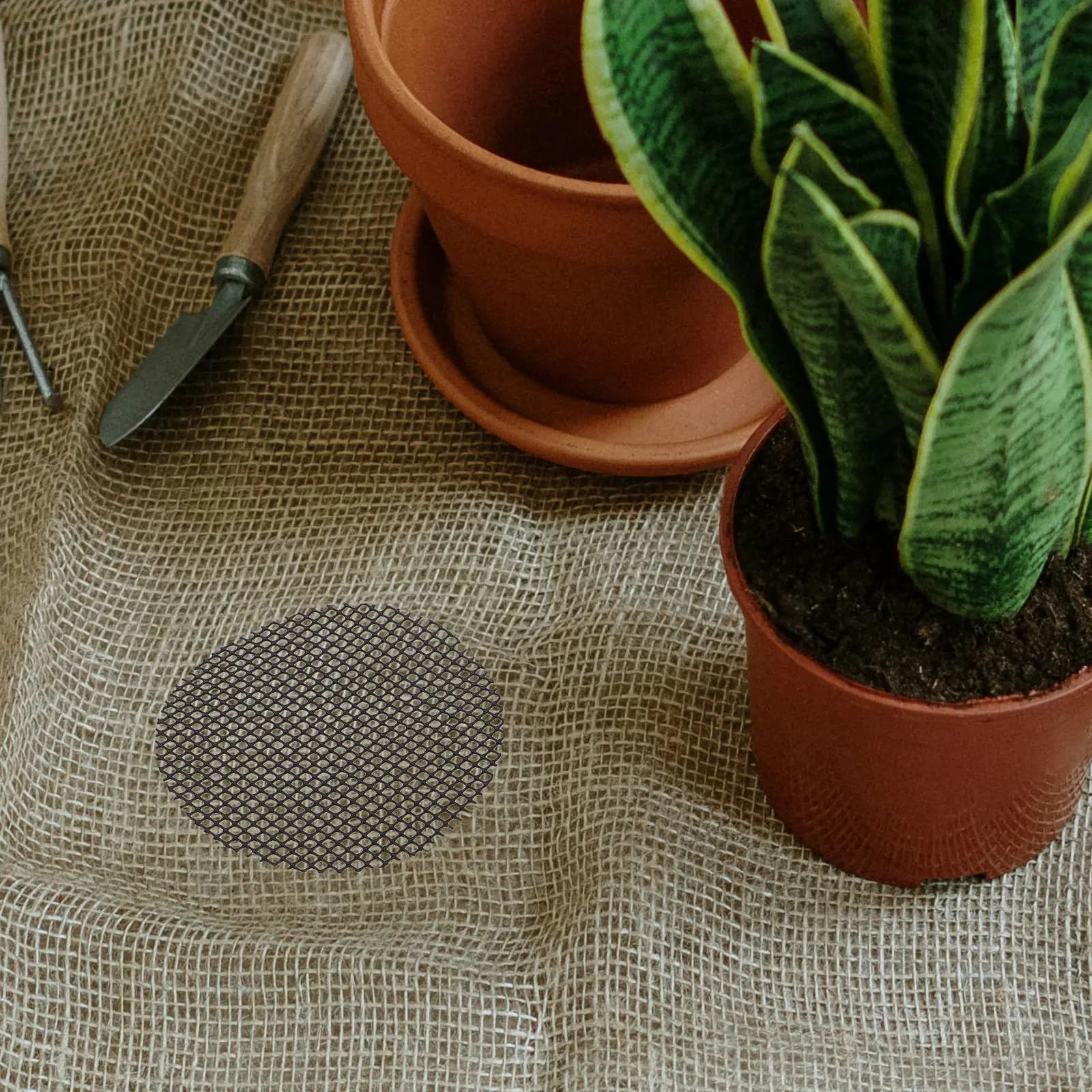 20 Pezzi di Rete per Fori di Vasi, Coperture in Plastica per Drenaggio, Prevenzione della Perdita di Terreno, Tappetini a Griglia Riutilizzabili per Fondo Vaso Bonsai, Quadrati 5.89 Pollici