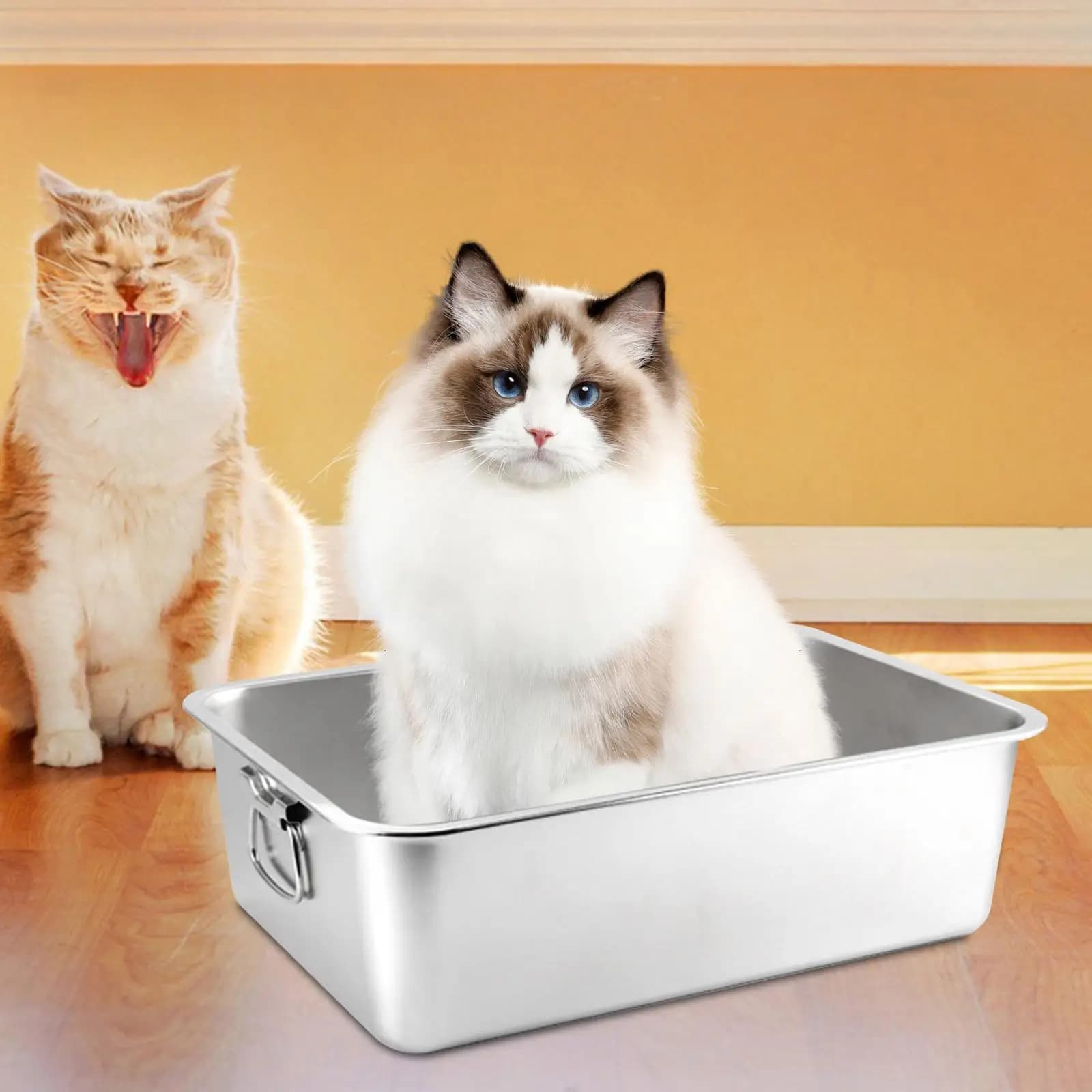 Cat Litter Box for Indoor Cats Stainless Steel Pet Sandbox Pets Accessories