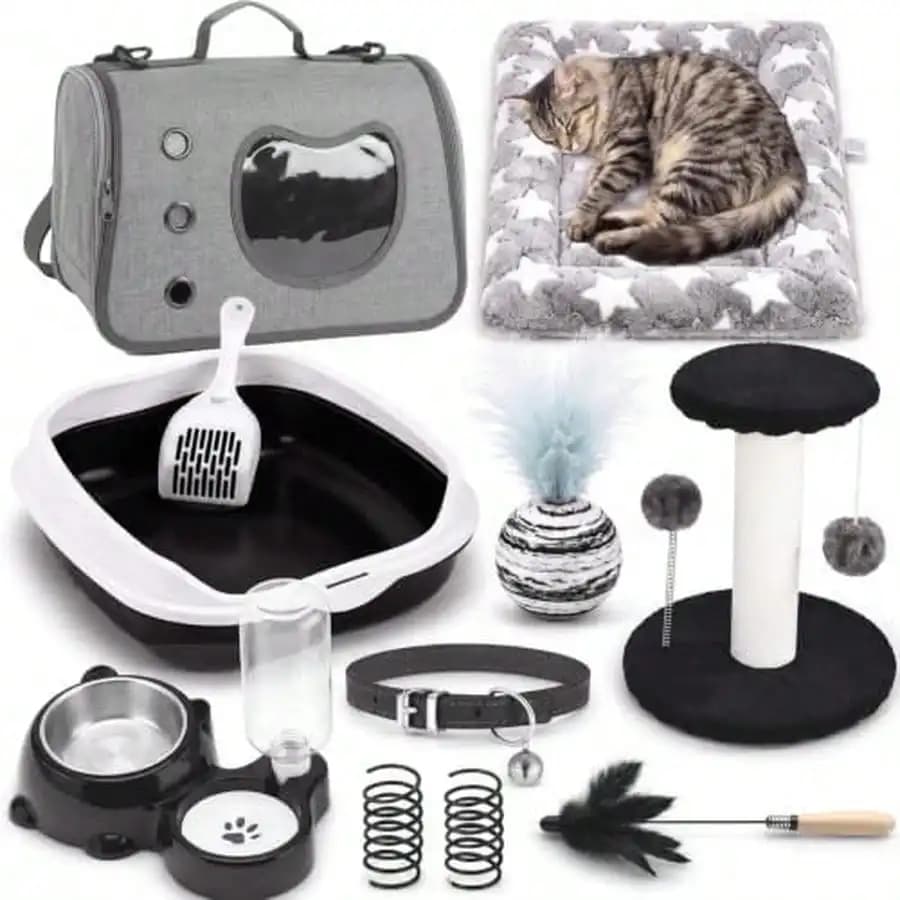 Eccliy Kitten Starter Kit, 10 Pcs Cat Beginner Starter Kit For Indoor Cats Essentials Includes Litter Box, Pet Toy, Carrier, Climbing Frame, Mat, Collar, Automatic Food Bowl (Cute,Large,Black)