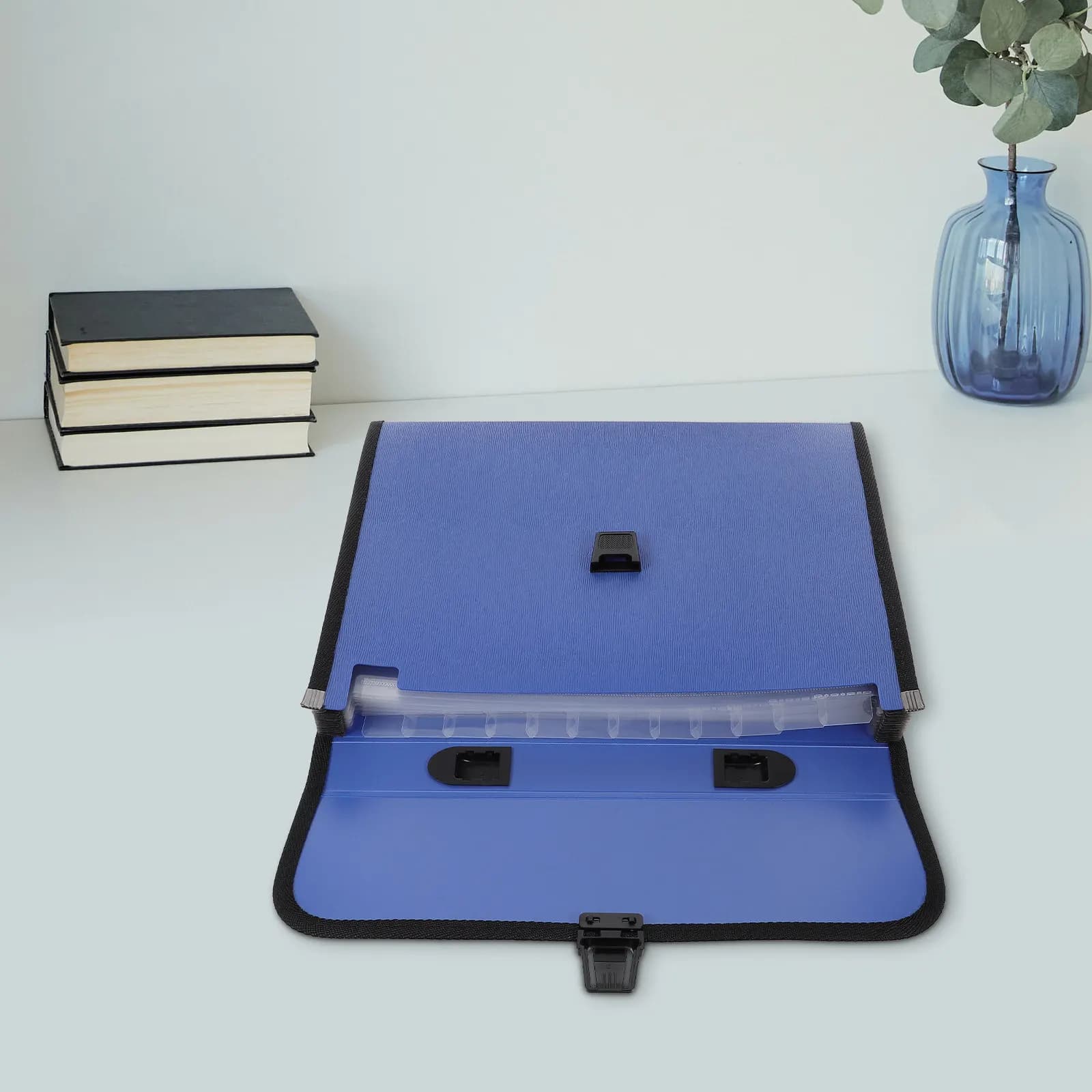 Cartella Portadocumenti Espandibile, Organizer per Ufficio, Cartella a Fisarmonica A4, 12 Tasche, con Maniglia, Impermeabile, Portatile